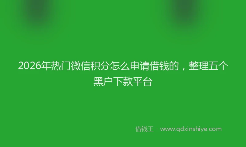 2026年热门微信积分怎么申请借钱的，整理五个黑户下款平台