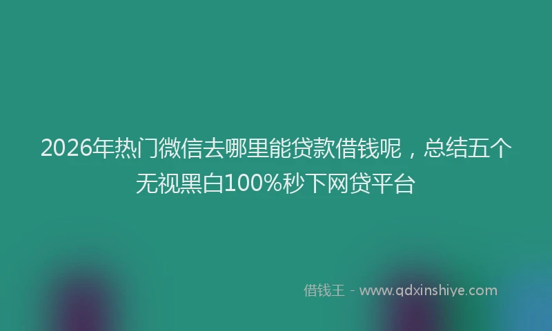 2026年热门微信去哪里能贷款借钱呢，总结五个无视黑白100%秒下网贷平台