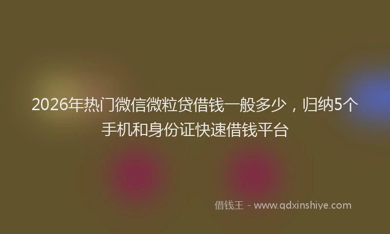 2026年热门微信微粒贷借钱一般多少，归纳5个手机和身份证快速借钱平台