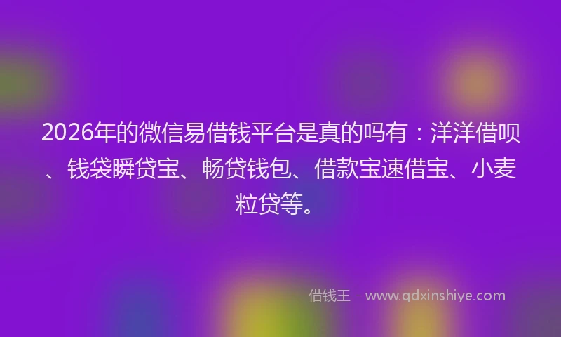 2026年的微信易借钱平台是真的吗有：洋洋借呗、钱袋瞬贷宝、畅贷钱包、借款宝速借宝、小麦粒贷等。