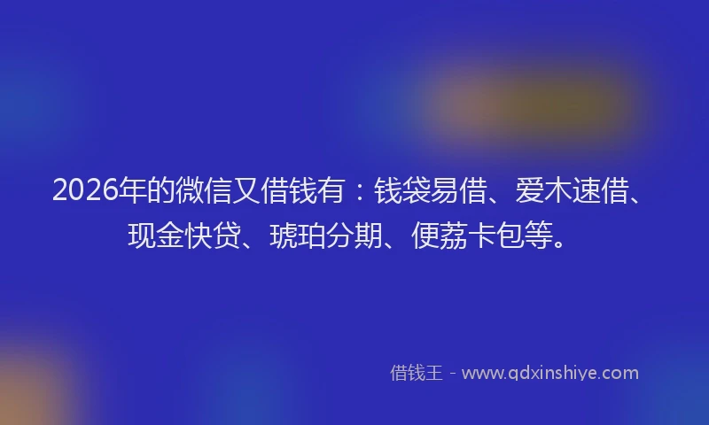 2026年的微信又借钱有：钱袋易借、爱木速借、现金快贷、琥珀分期、便荔卡包等。