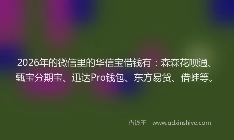 2026年的微信里的华信宝借钱有：森森花呗通、甄宝分期宝、迅达Pro钱包、东方易贷、借蛙等。