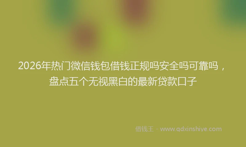 2026年热门微信钱包借钱正规吗安全吗可靠吗，盘点五个无视黑白的最新贷款口子