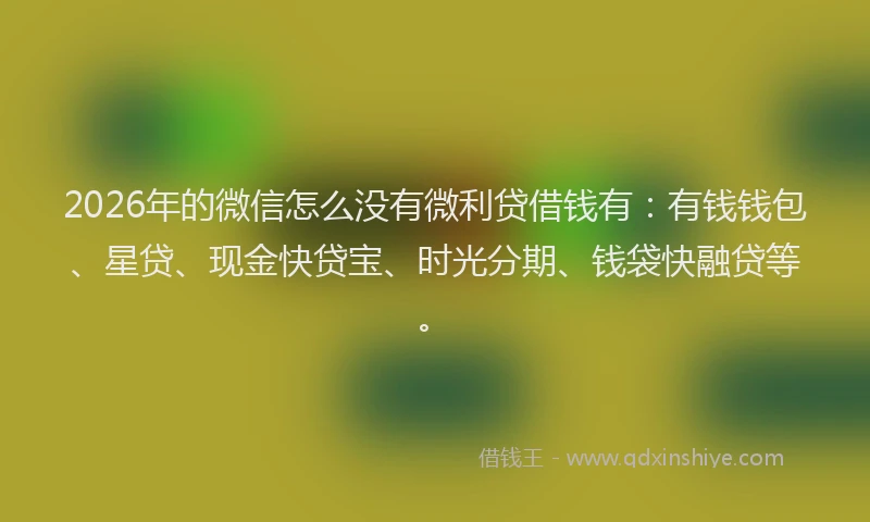2026年的微信怎么没有微利贷借钱有:有钱钱包、星贷、现金快贷宝、时光分期、钱袋快融贷等。