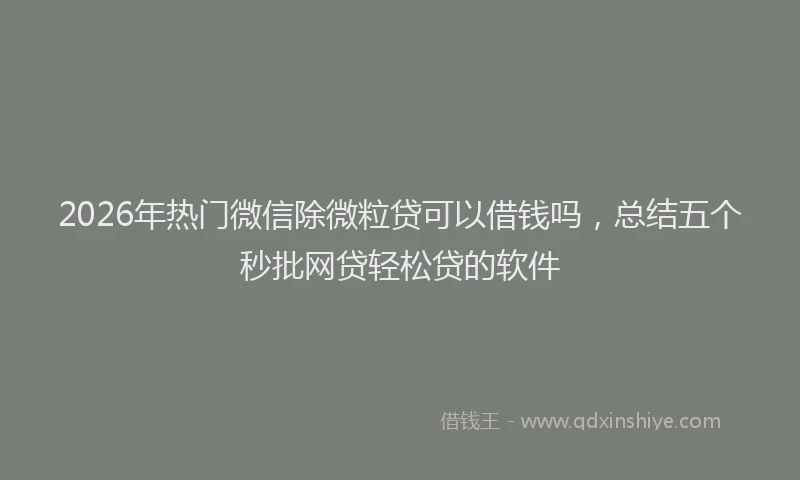 2026年热门微信除微粒贷可以借钱吗，总结五个秒批网贷轻松贷的软件