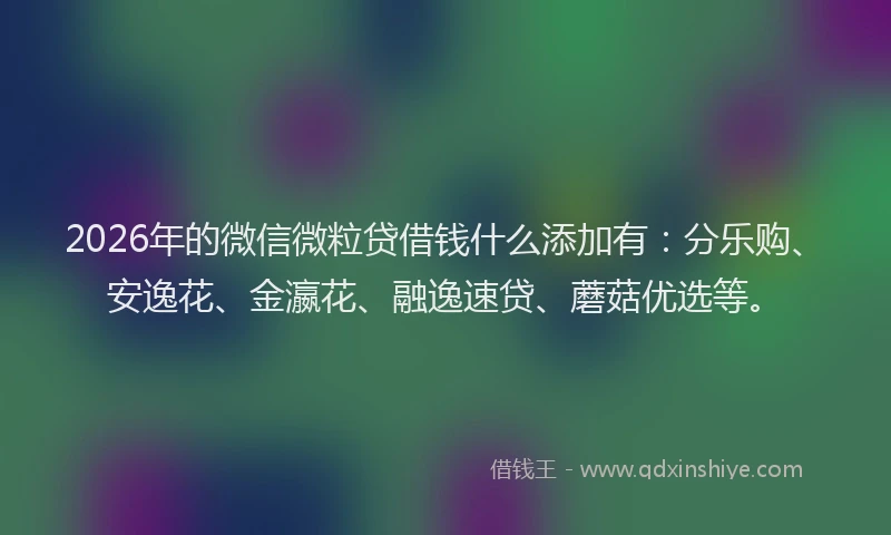 2026年的微信微粒贷借钱什么添加有：分乐购、安逸花、金瀛花、融逸速贷、蘑菇优选等。