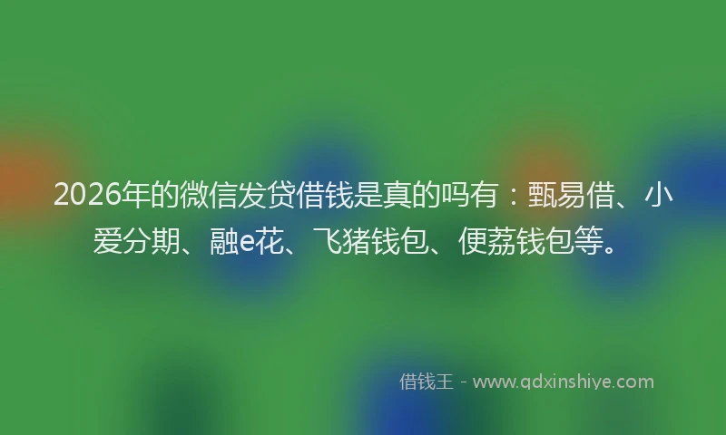 2026年的微信发贷借钱是真的吗有:甄易借、小爱分期、融e花、飞猪钱包、便荔钱包等。