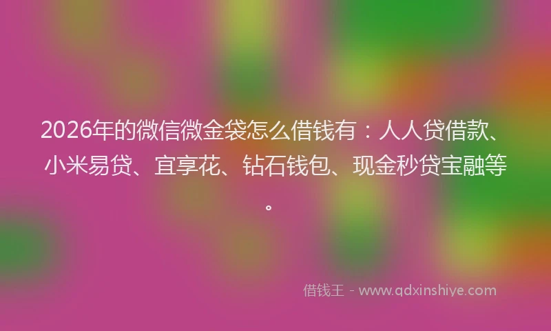 2026年的微信微金袋怎么借钱有:人人贷借款、小米易贷、宜享花、钻石钱包、现金秒贷宝融等。