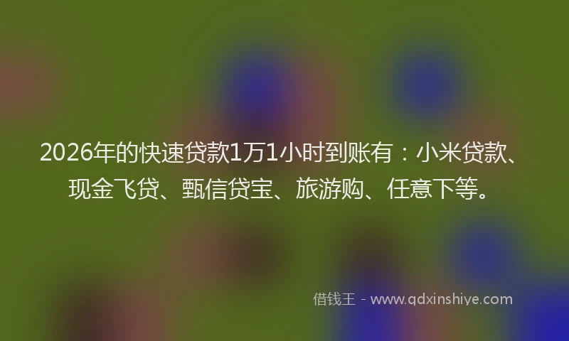 2026年的快速贷款1万1小时到账有：小米贷款、现金飞贷、甄信贷宝、旅游购、任意下等。