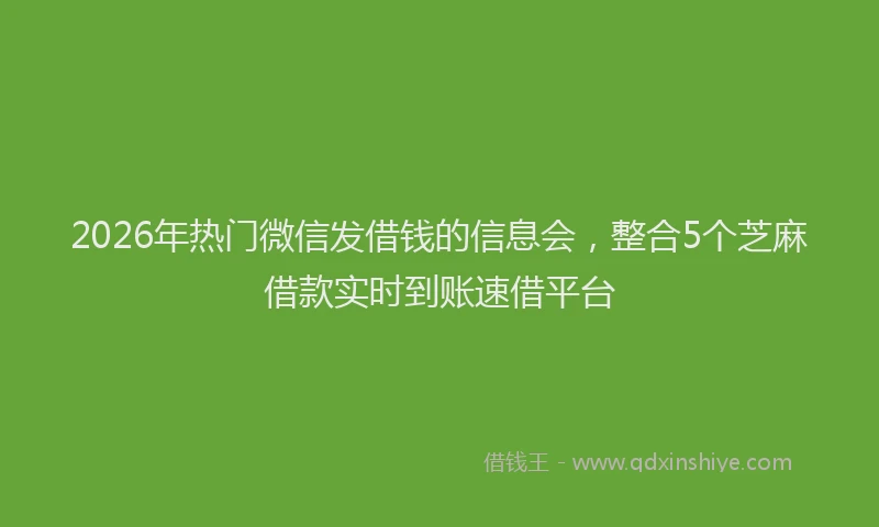 2026年热门微信发借钱的信息会，整合5个芝麻借款实时到账速借平台