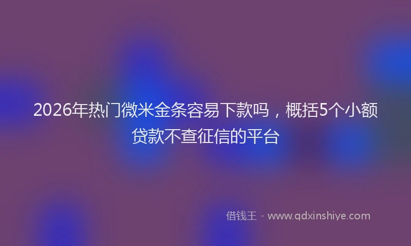 2026年热门微米金条容易下款吗，概括5个小额贷款不查征信的平台