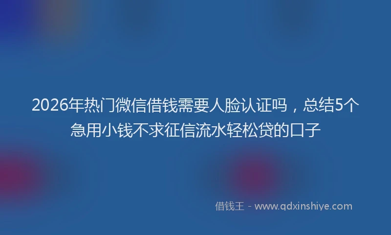 2026年热门微信借钱需要人脸认证吗，总结5个急用小钱不求征信流水轻松贷的口子