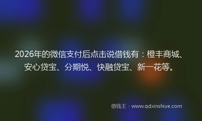 2026年的微信支付后点击说借钱有：橙丰商城、安心贷宝、分期悦、快融贷宝、新一花等。