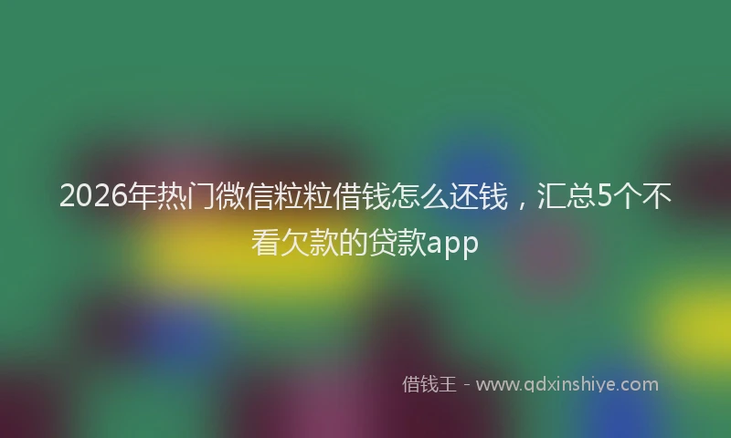 2026年热门微信粒粒借钱怎么还钱，汇总5个不看欠款的贷款app