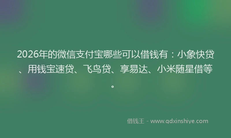 2026年的微信支付宝哪些可以借钱有：小象快贷、用钱宝速贷、飞鸟贷、享易达、小米随星借等。