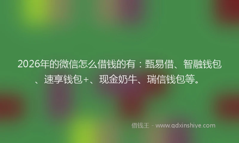 2026年的微信怎么借钱的有：甄易借、智融钱包、速享钱包+、现金奶牛、瑞信钱包等。