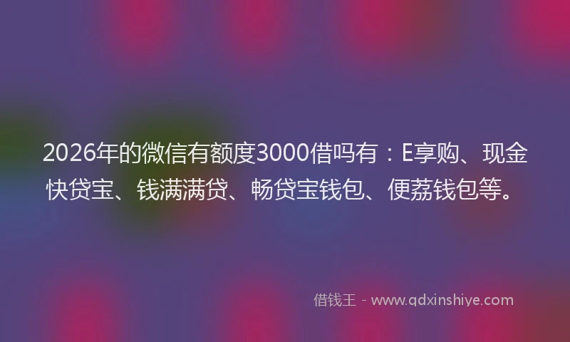 2026年的微信有额度3000借吗有：E享购、现金快贷宝、钱满满贷、畅贷宝钱包、便荔钱包等。