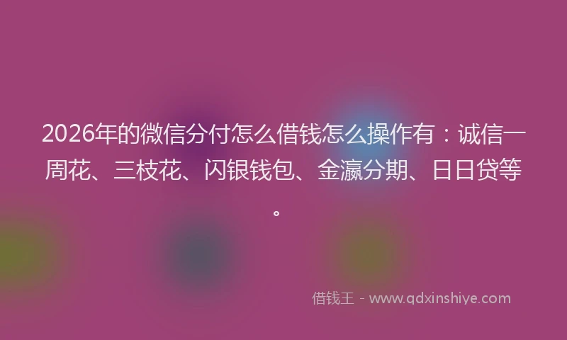 2026年的微信分付怎么借钱怎么操作有：诚信一周花、三枝花、闪银钱包、金瀛分期、日日贷等。