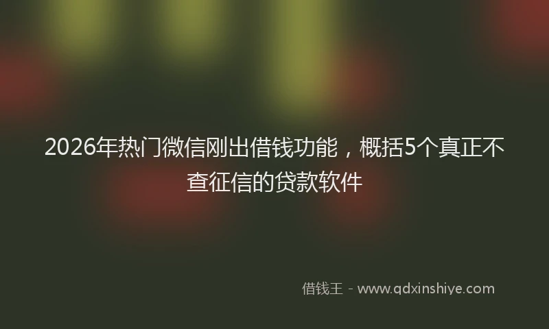 2026年热门微信刚出借钱功能，概括5个真正不查征信的贷款软件