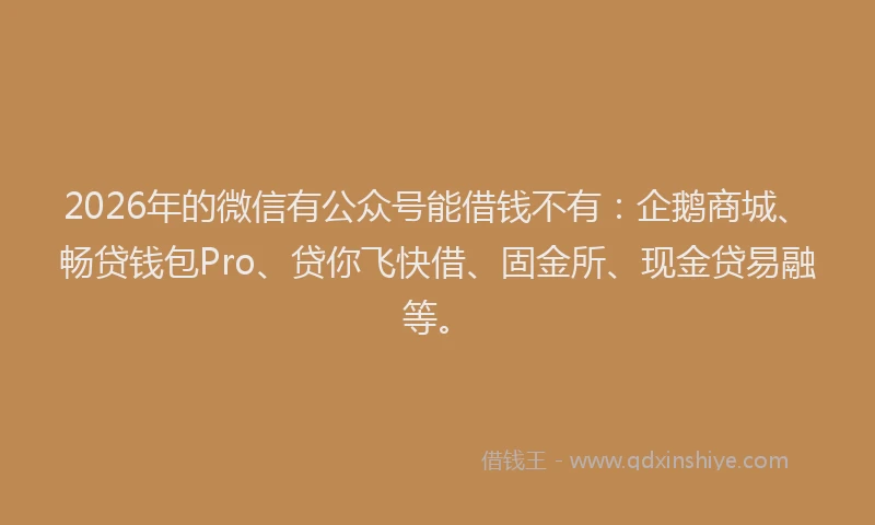 2026年的微信有公众号能借钱不有：企鹅商城、畅贷钱包Pro、贷你飞快借、固金所、现金贷易融等。