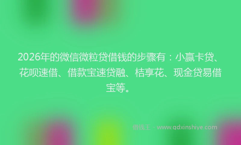2026年的微信微粒贷借钱的步骤有：小赢卡贷、花呗速借、借款宝速贷融、桔享花、现金贷易借宝等。