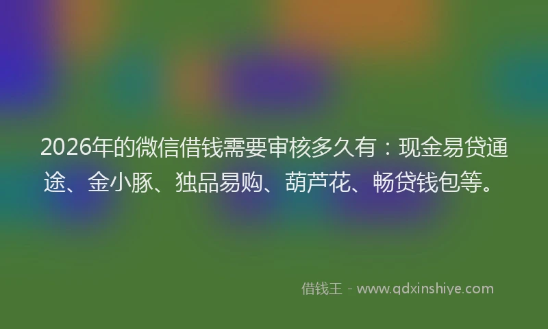 2026年的微信借钱需要审核多久有：现金易贷通途、金小豚、独品易购、葫芦花、畅贷钱包等。