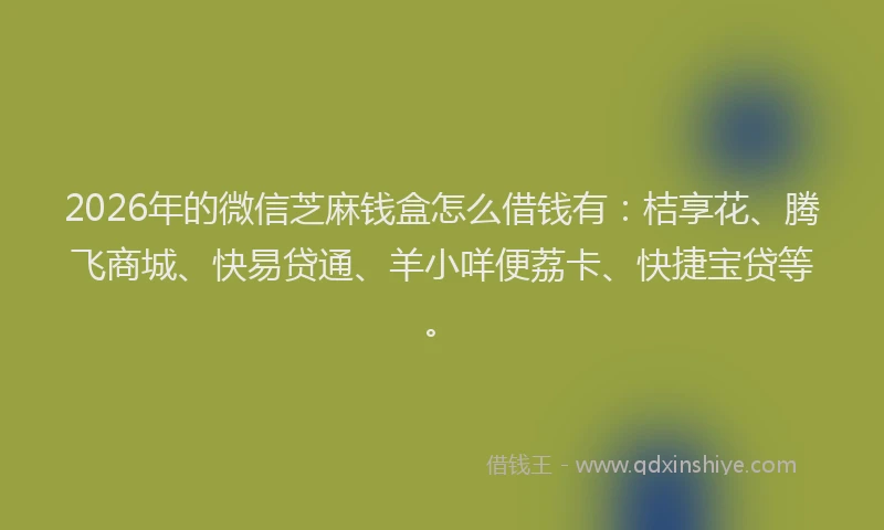 2026年的微信芝麻钱盒怎么借钱有:桔享花、腾飞商城、快易贷通、羊小咩便荔卡、快捷宝贷等。