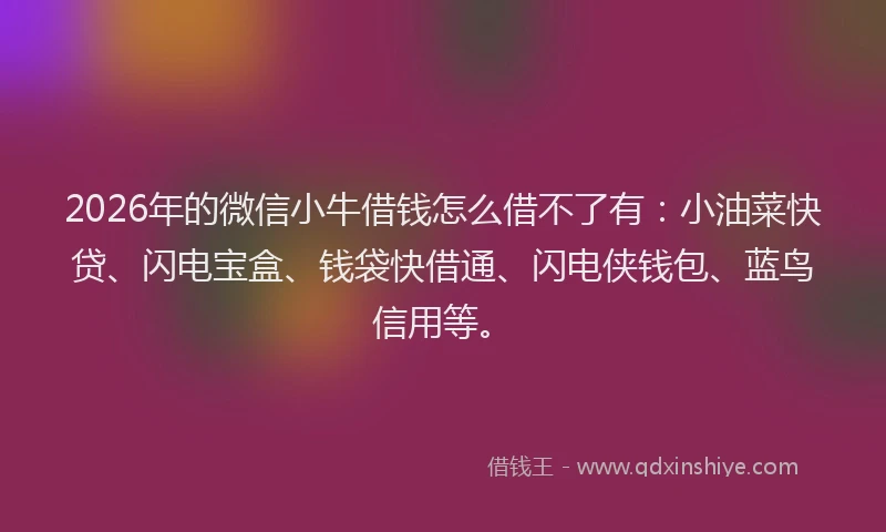 2026年的微信小牛借钱怎么借不了有:小油菜快贷、闪电宝盒、钱袋快借通、闪电侠钱包、蓝鸟信用等。
