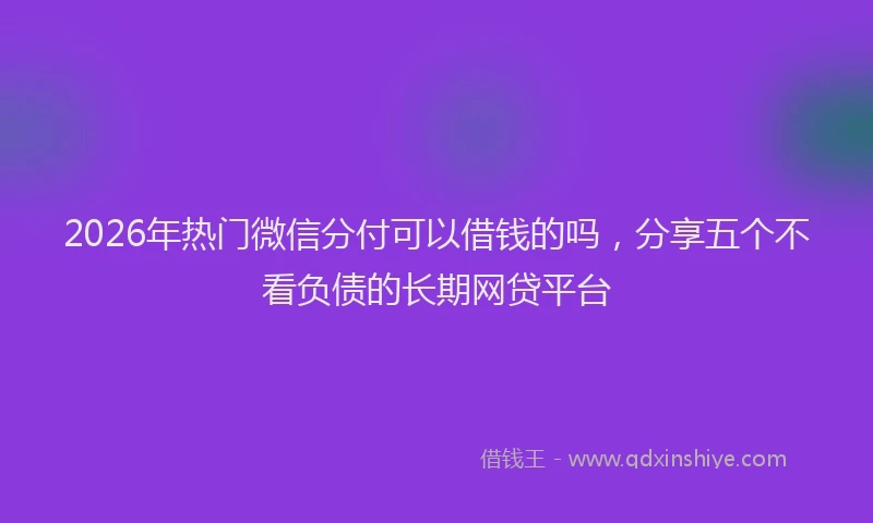2026年热门微信分付可以借钱的吗，分享五个不看负债的长期网贷平台