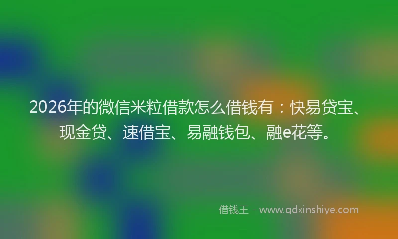 2026年的微信米粒借款怎么借钱有：快易贷宝、现金贷、速借宝、易融钱包、融e花等。