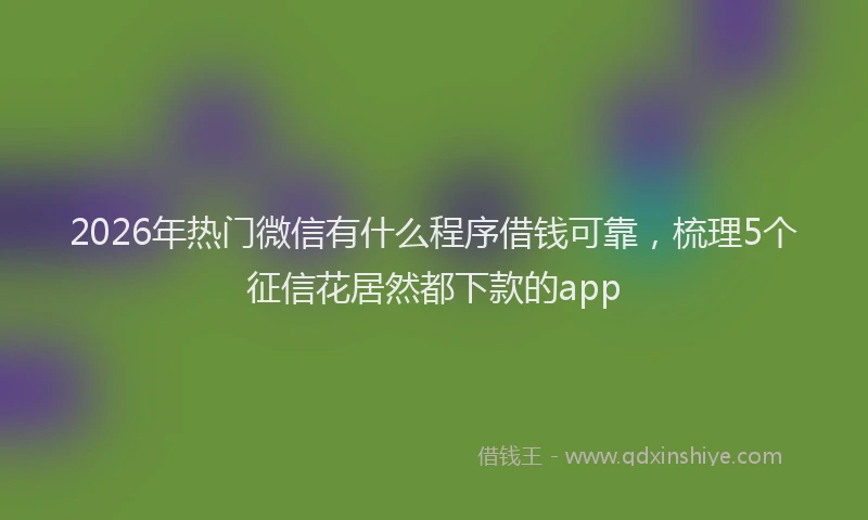 2026年热门微信有什么程序借钱可靠，梳理5个征信花居然都下款的app