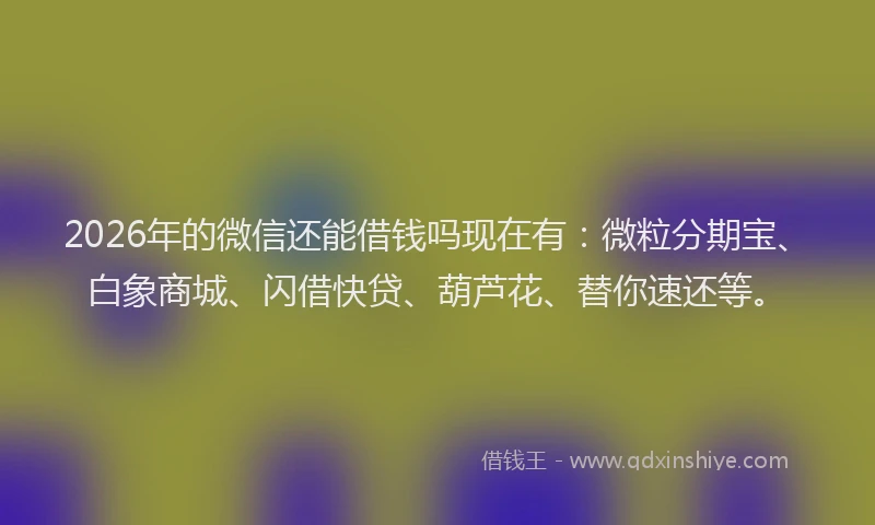 2026年的微信还能借钱吗现在有：微粒分期宝、白象商城、闪借快贷、葫芦花、替你速还等。