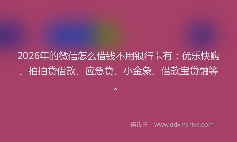 2026年的微信怎么借钱不用银行卡有：优乐快购、拍拍贷借款、应急贷、小金象、借款宝贷融等。