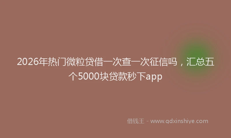 2026年热门微粒贷借一次查一次征信吗，汇总五个5000块贷款秒下app