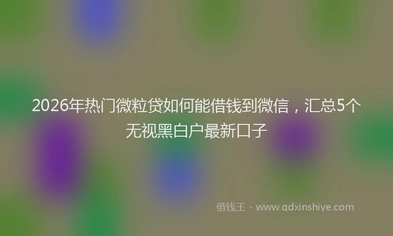 2026年热门微粒贷如何能借钱到微信，汇总5个无视黑白户最新口子