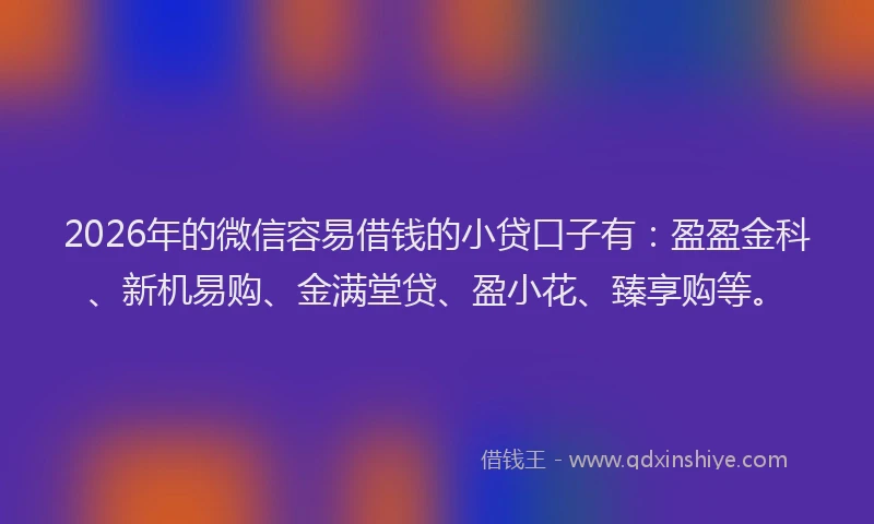 2026年的微信容易借钱的小贷口子有：盈盈金科、新机易购、金满堂贷、盈小花、臻享购等。