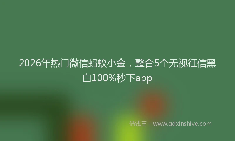 2026年热门微信蚂蚁小金，整合5个无视征信黑白100%秒下app