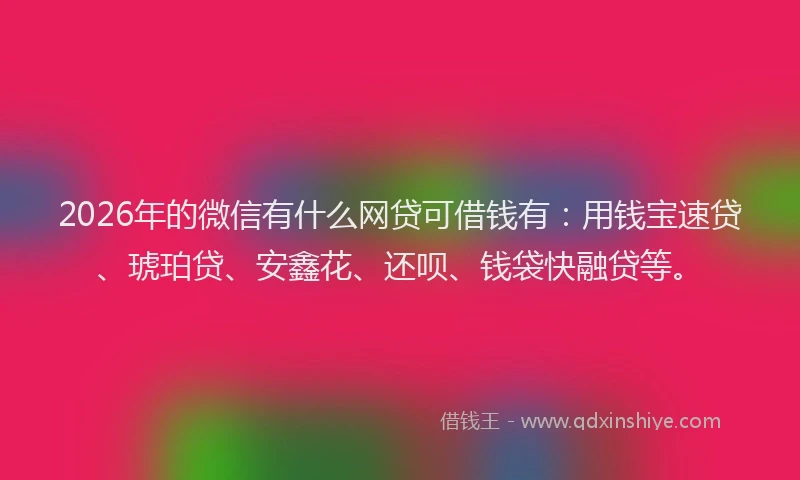 2026年的微信有什么网贷可借钱有：用钱宝速贷、琥珀贷、安鑫花、还呗、钱袋快融贷等。