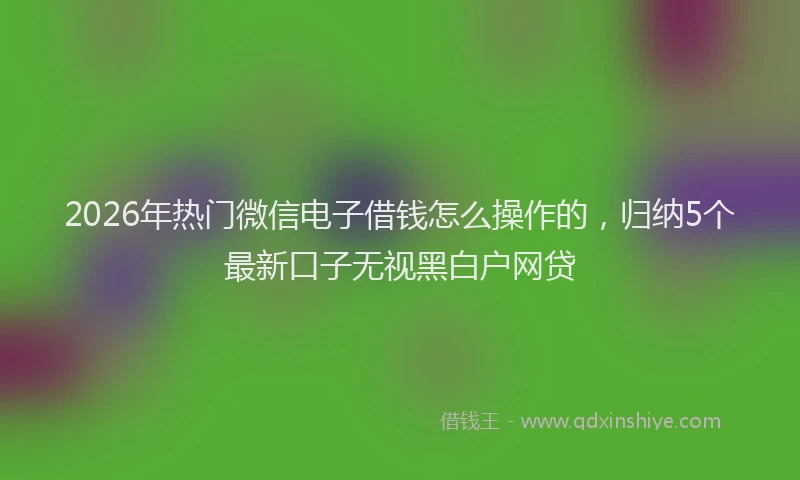 2026年热门微信电子借钱怎么操作的，归纳5个最新口子无视黑白户网贷