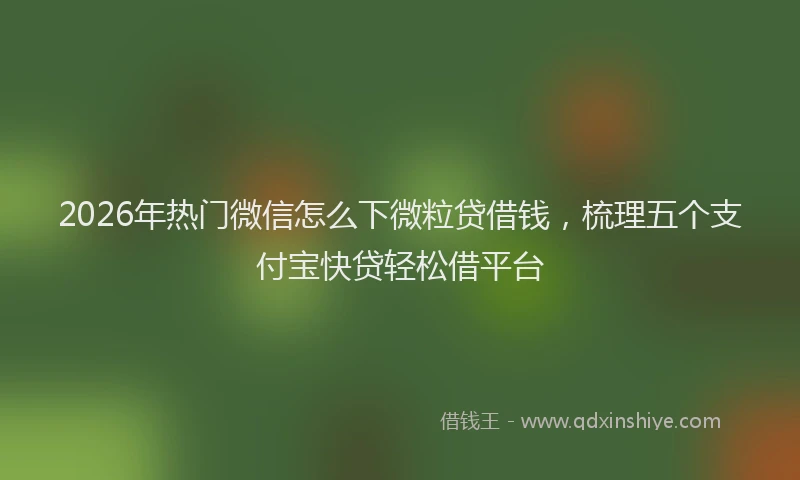 2026年热门微信怎么下微粒贷借钱，梳理五个支付宝快贷轻松借平台