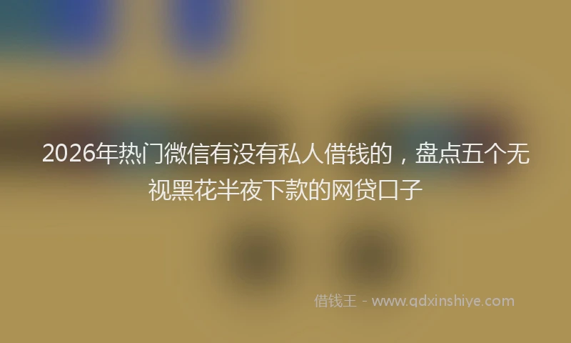 2026年热门微信有没有私人借钱的，盘点五个无视黑花半夜下款的网贷口子