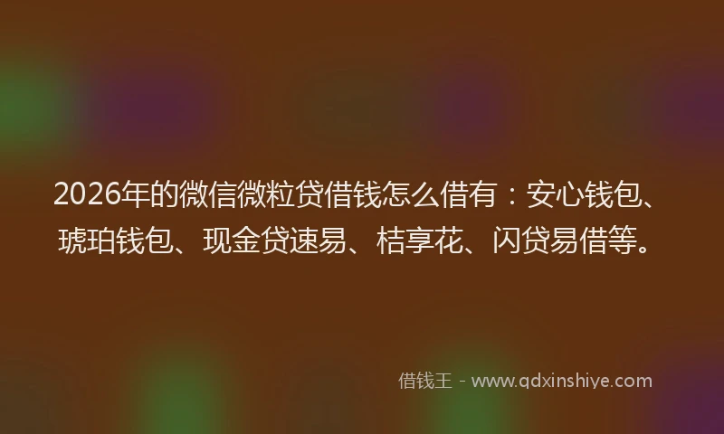 2026年的微信微粒贷借钱怎么借有：安心钱包、琥珀钱包、现金贷速易、桔享花、闪贷易借等。