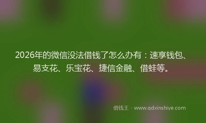 2026年的微信没法借钱了怎么办有：速享钱包、易支花、乐宝花、捷信金融、借蛙等。