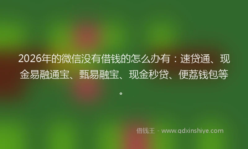 2026年的微信没有借钱的怎么办有：速贷通、现金易融通宝、甄易融宝、现金秒贷、便荔钱包等。