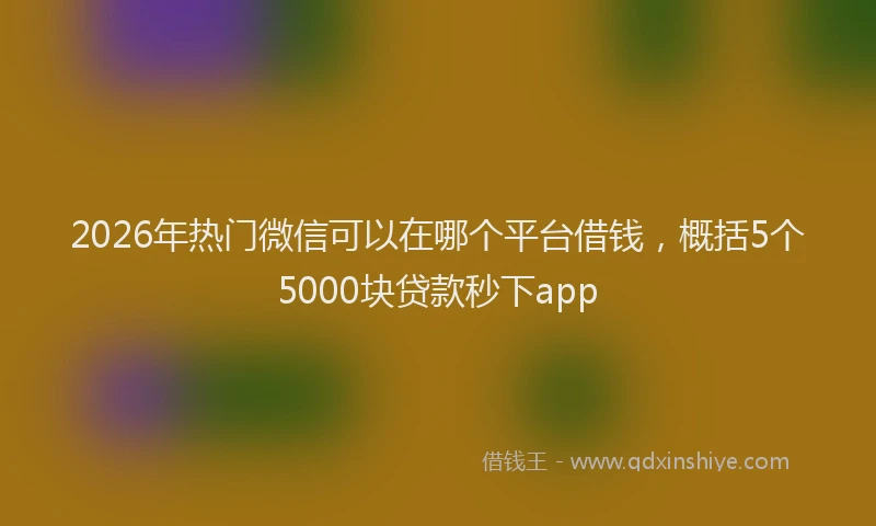 2026年热门微信可以在哪个平台借钱，概括5个5000块贷款秒下app