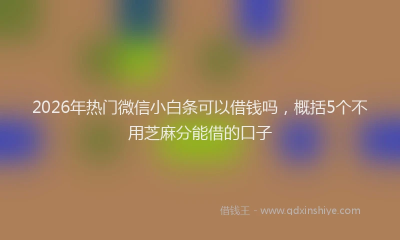 2026年热门微信小白条可以借钱吗，概括5个不用芝麻分能借的口子