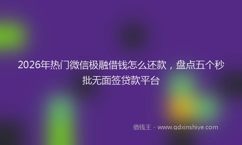 2026年热门微信极融借钱怎么还款，盘点五个秒批无面签贷款平台