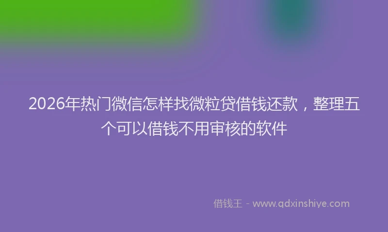 2026年热门微信怎样找微粒贷借钱还款，整理五个可以借钱不用审核的软件