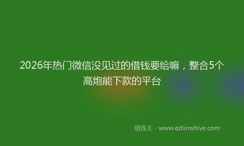 2026年热门微信没见过的借钱要给嘛，整合5个高炮能下款的平台