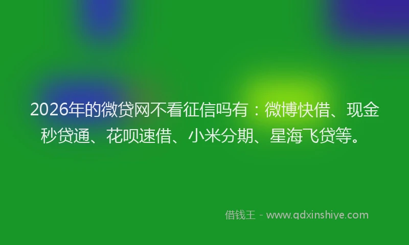 2026年的微贷网不看征信吗有：微博快借、现金秒贷通、花呗速借、小米分期、星海飞贷等。